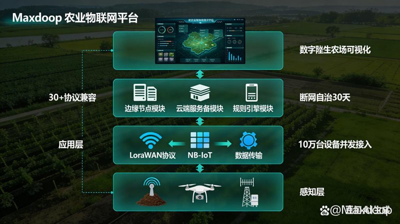 微信小程序开发引领移动应用新潮流